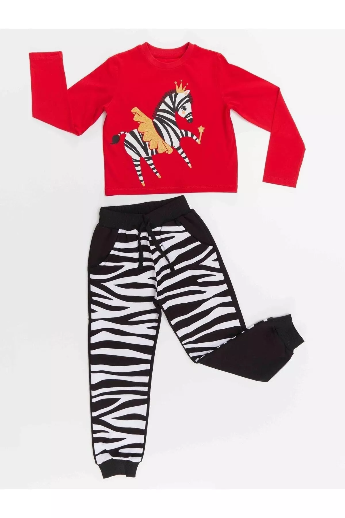 Ballerina Zebra Girl Child T-shirt Pants Set