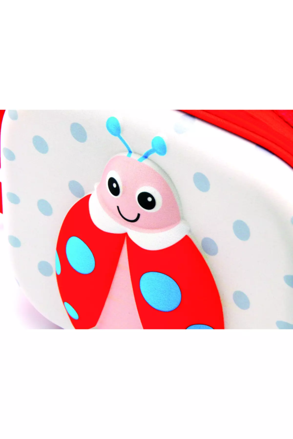 Happy Lunchbox Ladybug