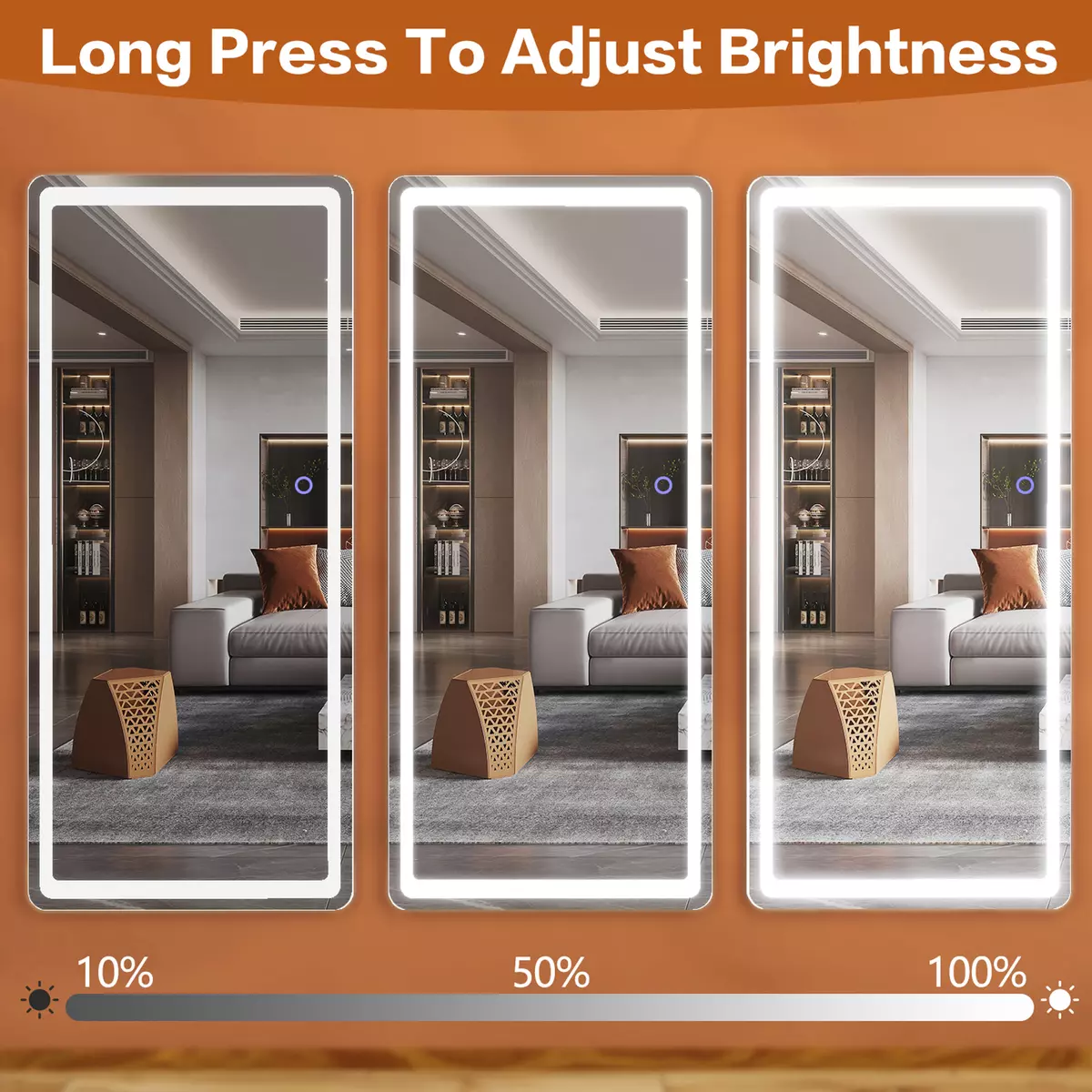 Full Length Mirror with Lights